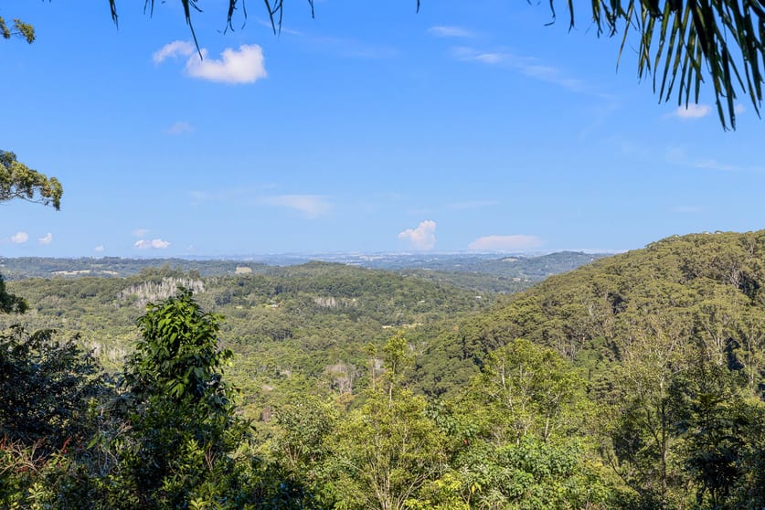 Click to view all images 103 Goonengerry Mill Road Goonengerry NSW 2482 - Image 3