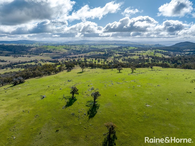 Click to view all images 2306 Bigga Road Bigga NSW 2583 - Image 1