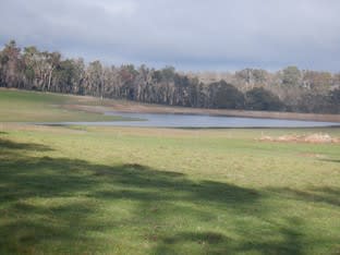 Click to view all images Lot 5884 Jackson Road Manjimup WA 6258 - Image 1