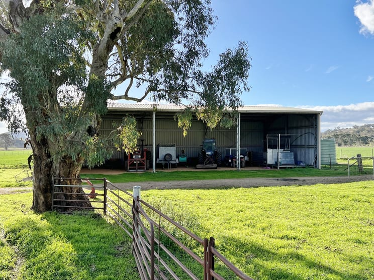 Click to view all images 2177 Murringo Road Murringo NSW 2586 - Image 3