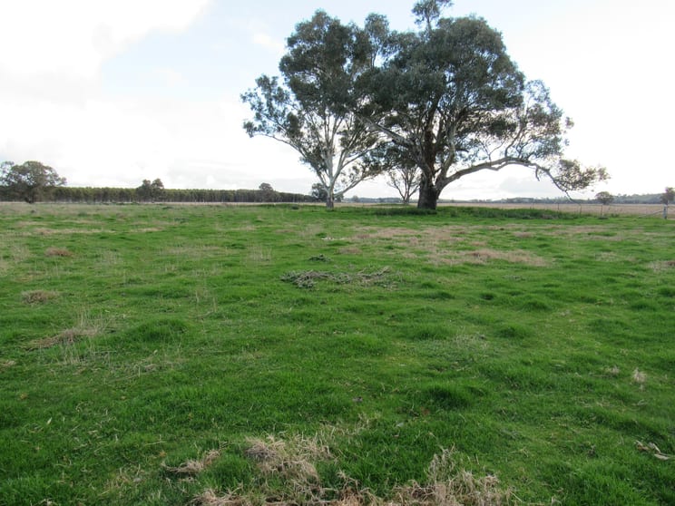 Click to view all images 'Bringa'/367 Heriots Road Cookardinia NSW 2650 - Image 1