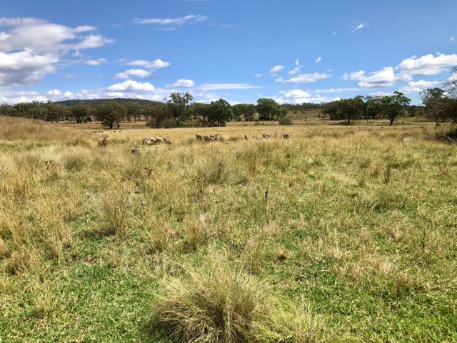 Click to view all images Nullamanna NSW 2360 - Image 2