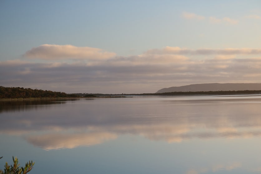 Lot 1 North East River Road Palana TAS 7255 - Image 3