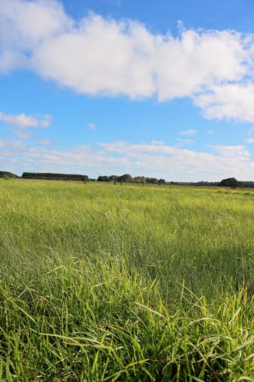 Click to view all images 5850 Clay Wells Road Wattle Range SA 5280 - Image 3