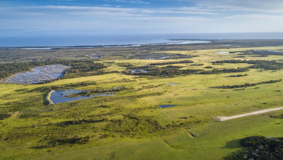 Click to view all images 1251 Musselroe Road Musselroe Bay TAS 7264 - Image 1