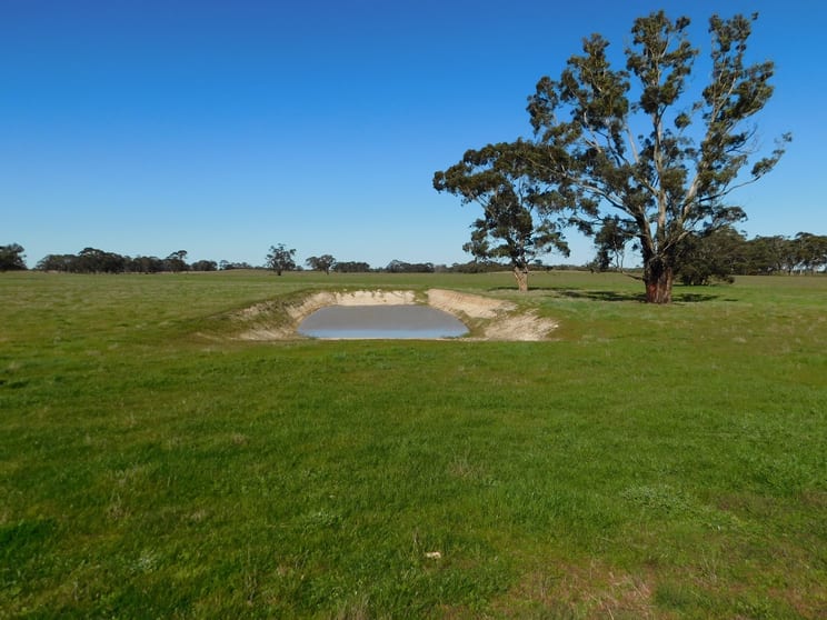 Click to view all images 693 Bangham Road Bangham SA 5268 - Image 1