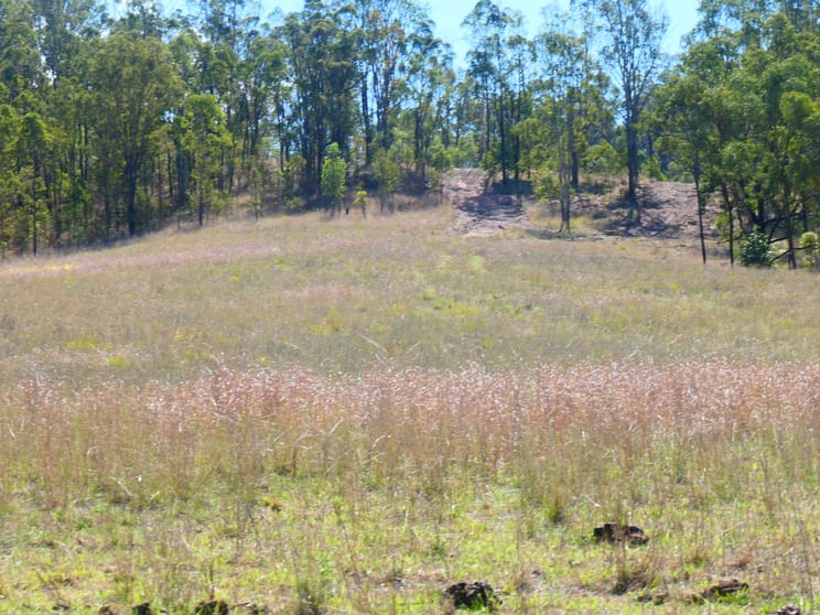 Click to view all images 3377 Rocky River Road Rocky River NSW 2372 - Image 2