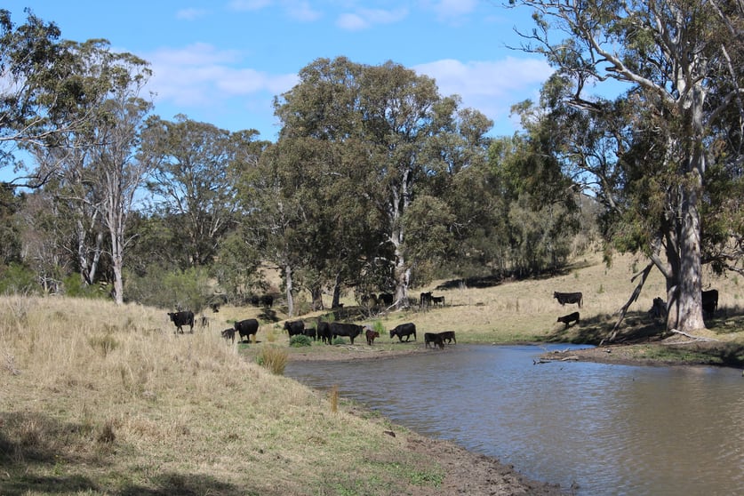 Click to view all images 128 Homan Road Killarney QLD 4373 - Image 1
