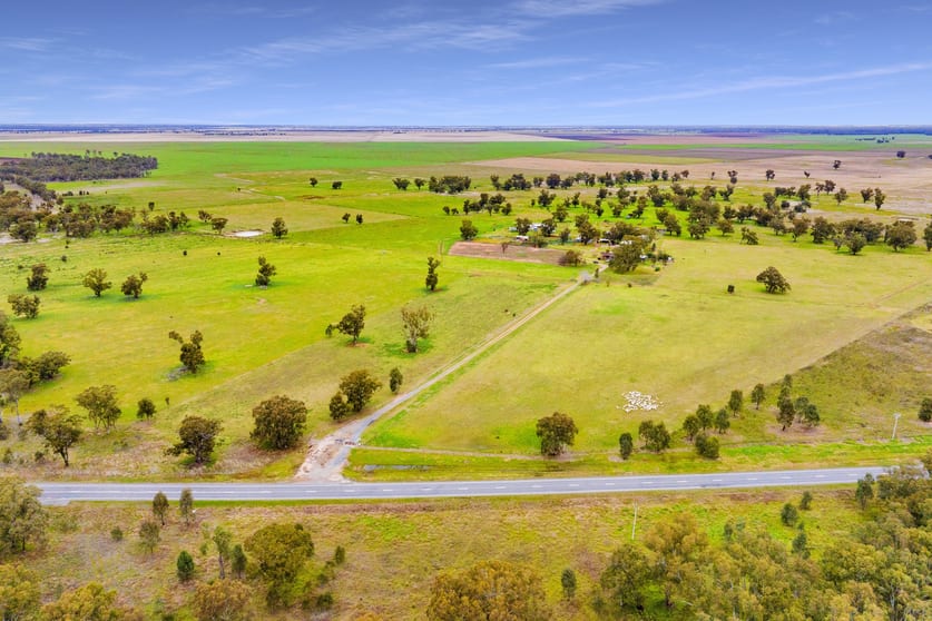 Click to view all images 10935 Sturt Highway Narrandera NSW 2700 - Image 3