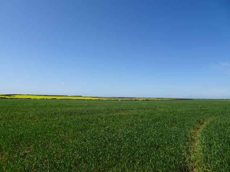 Click to view all images 4 King Rocks Road West Hyden WA 6359 - Image 2