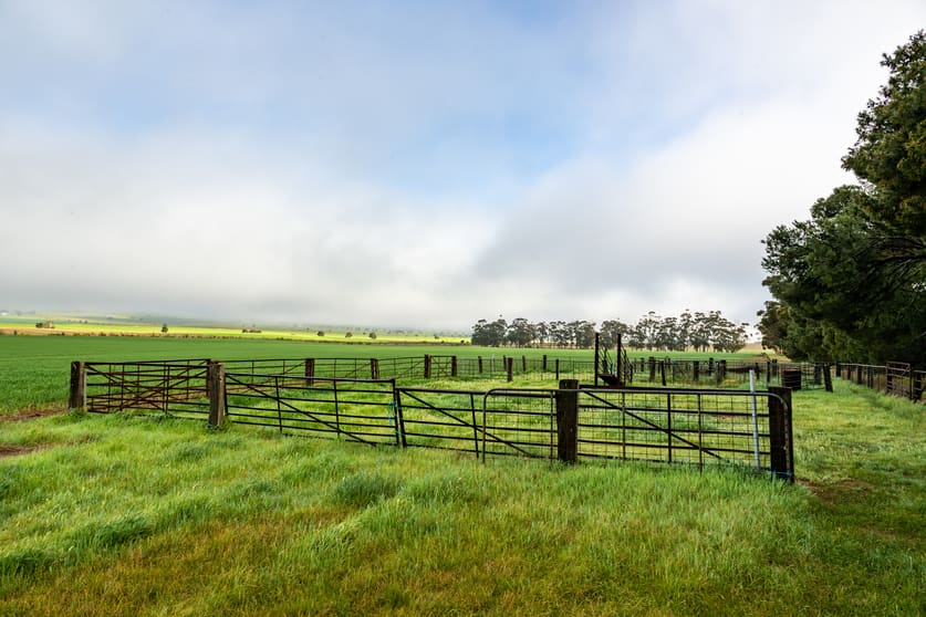 Click to view all images R M Williams Way Jamestown SA 5491 - Image 3