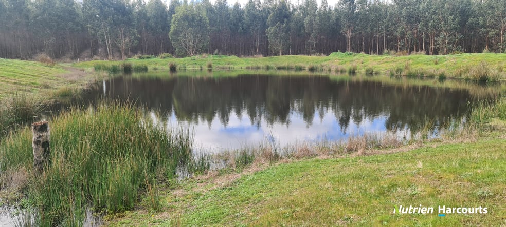Click to view all images 118 Townshend Road Narrikup WA 6326 - Image 3