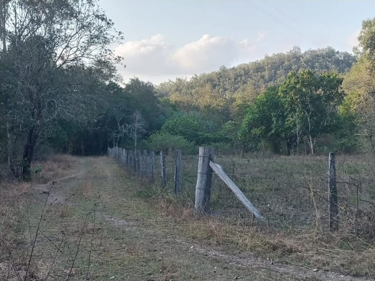 Click to view all images 23128 Peak Downs Highway Eton QLD 4741 - Image 3