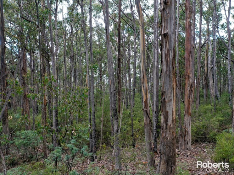 Click to view all images 699 Church Road Dromedary TAS 7030 - Image 1