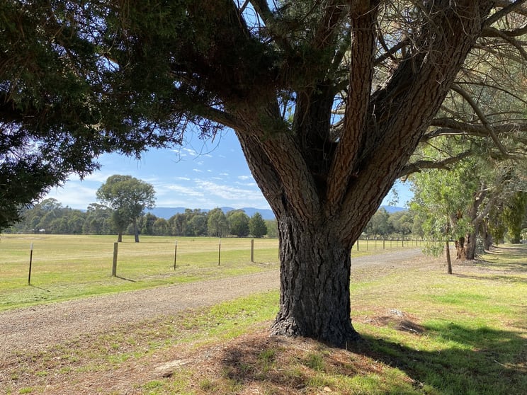 Click to view all images 48 Hayes Road Swanpool VIC 3673 - Image 2