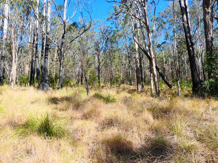 Click to view all images 5/476 Long Gully Road Drake NSW 2469 - Image 3