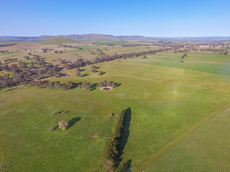 Lot/4 Garryowen Road Binalong NSW 2584 - Image 3