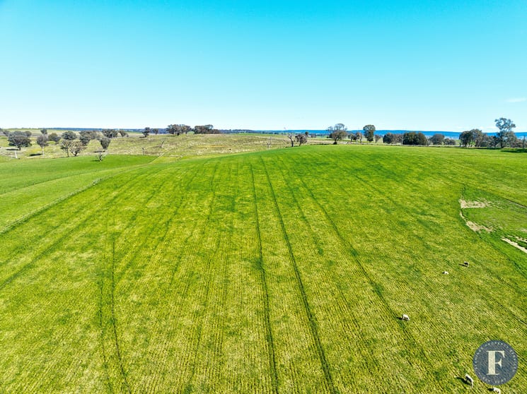 Click to view all images Lot 4 Geegullagong Roads Murringo NSW 2586 - Image 2