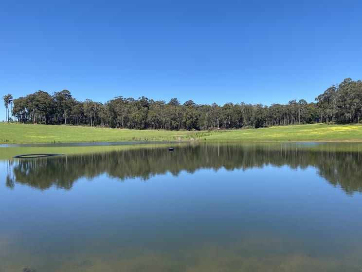 Click to view all images Lot 10838 Piano Gully Road (Middlesex) Manjimup WA 6258 - Image 1