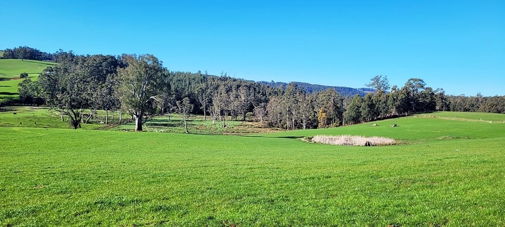 Click to view all images 34 Watts Road Paradise TAS 7306 - Image 2