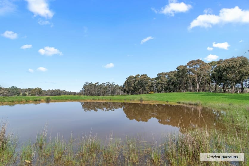 Click to view all images Lots 1-3, PS 814359P Duells Lane Glenaroua VIC 3764 - Image 1