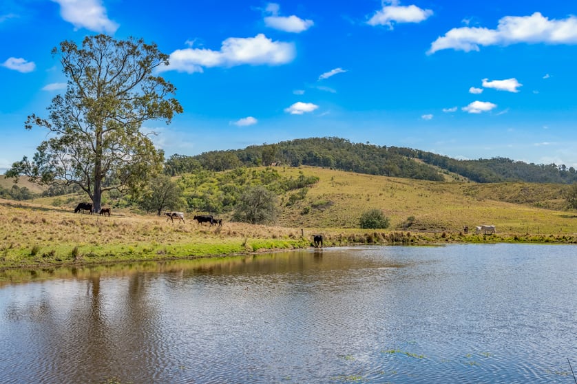 Click to view all images 449 Glen William Road Glen William NSW 2321 - Image 1