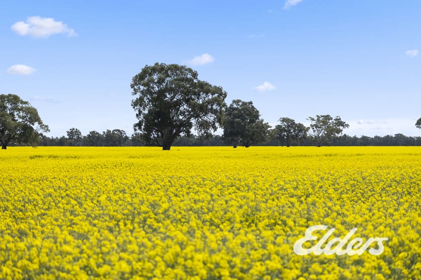 Click to view all images 235 Clearview Road Savernake NSW 2646 - Image 2