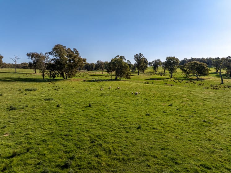 Click to view all images 156 Comatawa Road Tarcutta NSW 2652 - Image 1