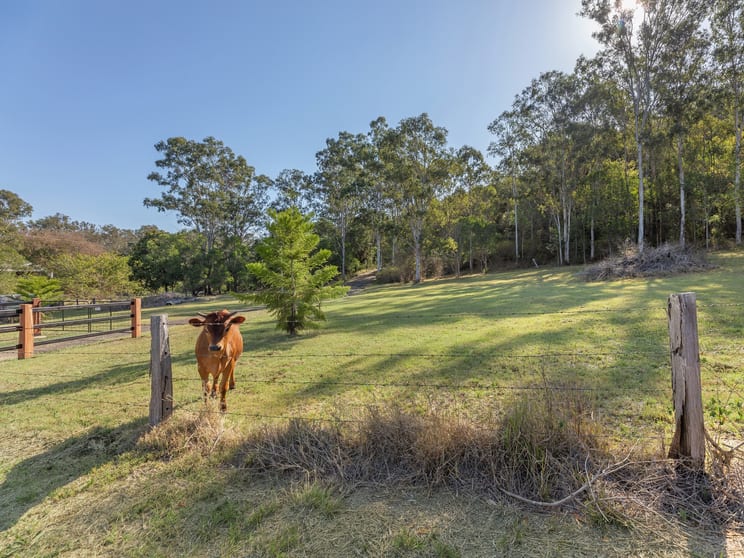 Click to view all images 986-1004 Pine Mountain Road Pine Mountain QLD 4306 - Image 3
