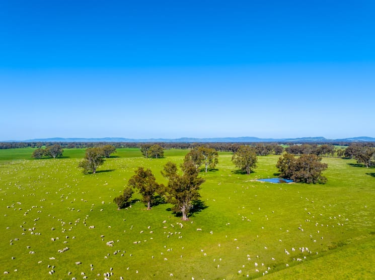 Click to view all images 1350 Geodetic Road Euroa VIC 3666 - Image 3
