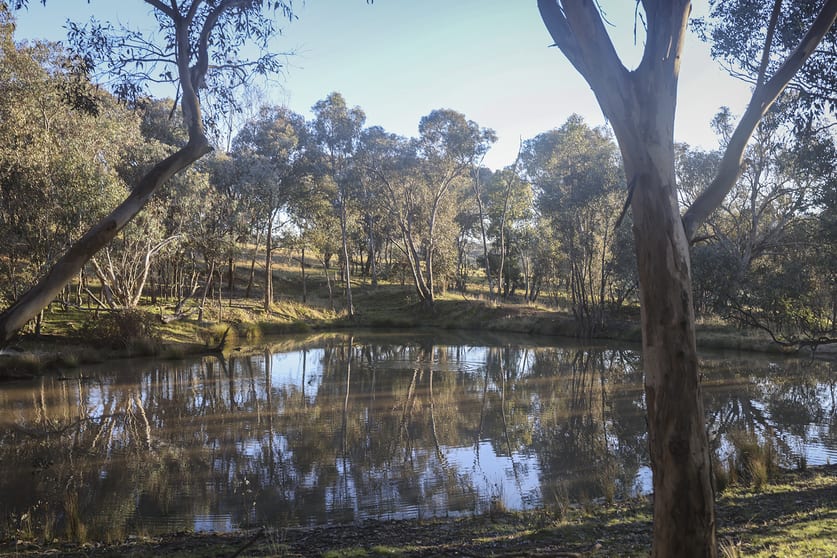 Click to view all images 280 Mantons Road Gundagai NSW 2722 - Image 1