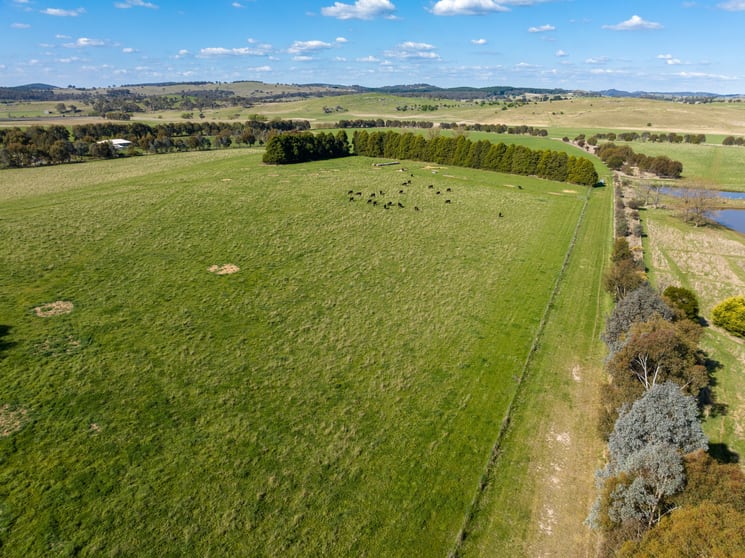 Click to view all images 548 Emu Swamp Road Orange NSW 2800 - Image 2