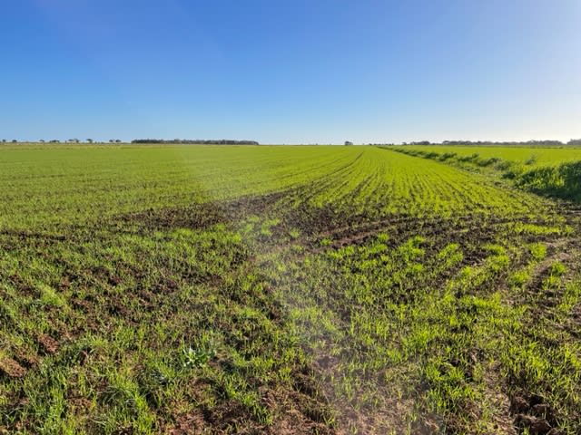 Click to view all images FARM 5007 “DANCORD” Coleambally NSW 2707 - Image 2