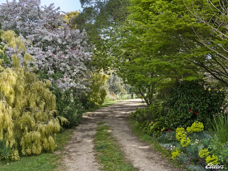 Click to view all images 1443 Bonnie Doon Road Boho South VIC 3669 - Image 2