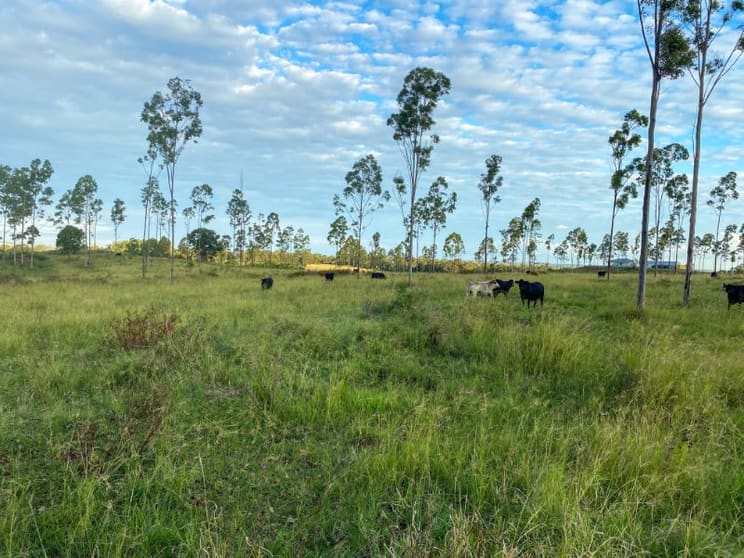 Click to view all images 225 BEILS ROAD Kingaroy QLD 4610 - Image 3