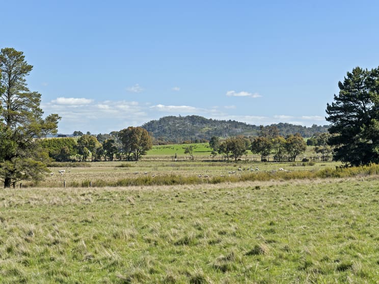 Lot 1 Longwood Ruffy Road Ruffy VIC 3666 - Image 3