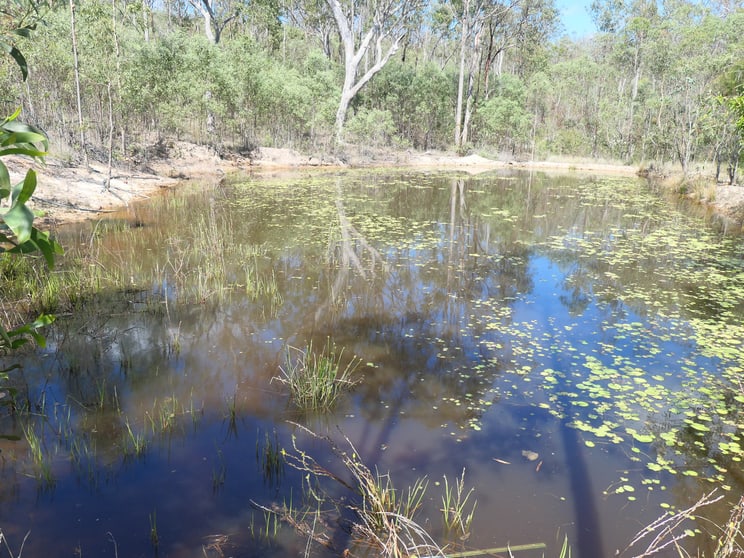 Click to view all images 241 Bruxner Road Drake NSW 2469 - Image 1