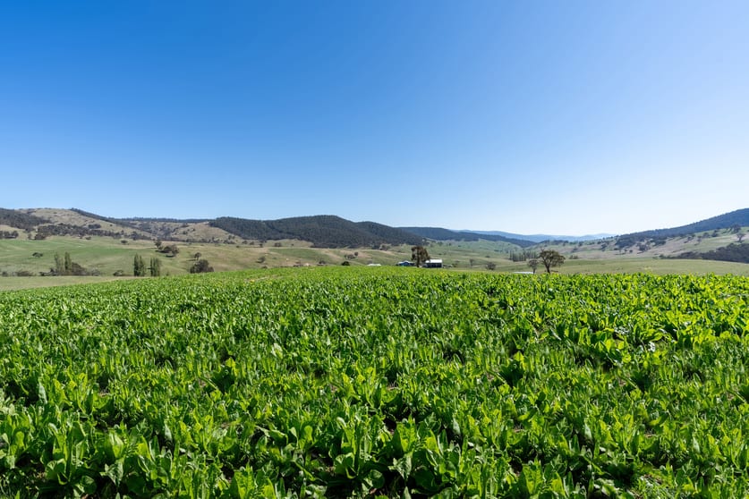 Click to view all images 85 and 85A Tices Road Omeo VIC 3898 - Image 3
