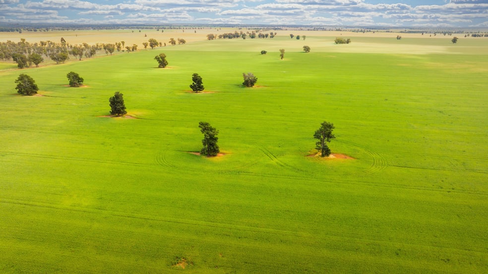 Click to view all images Cullivel Road Urana NSW 2645 - Image 3