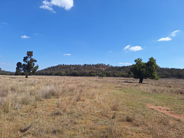 Click to view all images "Koompartoo" 258 Momo Road Tomingley NSW 2869 - Image 3