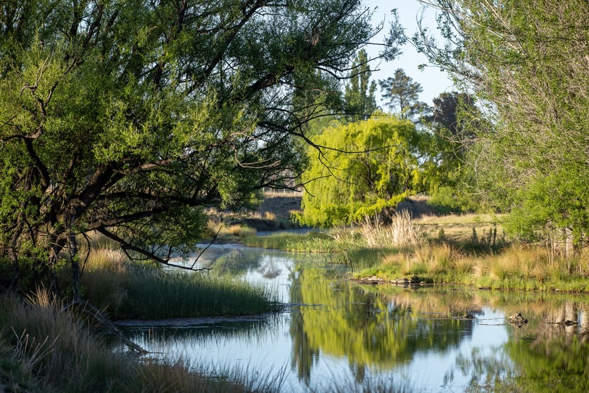 Click to view all images Swallowfield 1704 Rockvale Road Armidale NSW 2350 - Image 3
