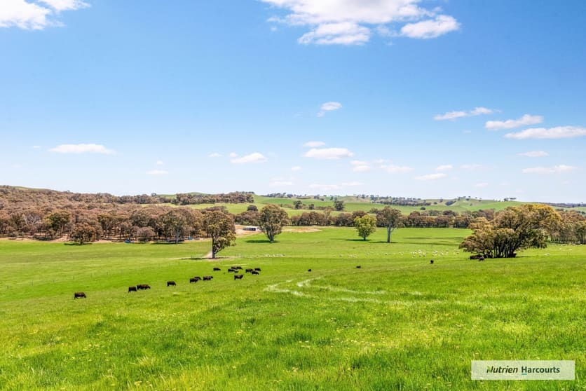 Click to view all images 415 Duells Lane Glenaroua VIC 3764 - Image 1
