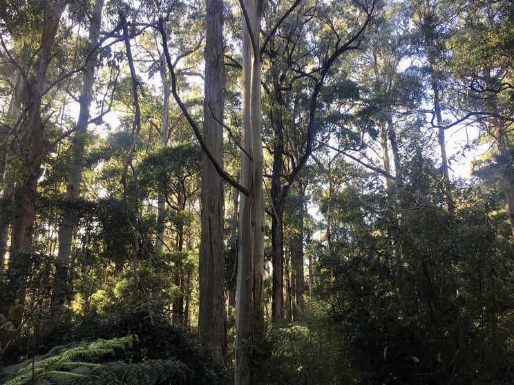 Click to view all images 198 Whitehills Road Penguin TAS 7316 - Image 3