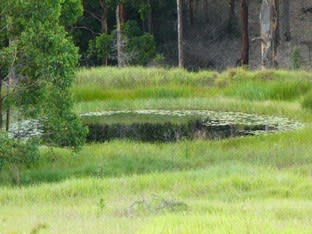 Click to view all images 534 Phillips Swamp Road Busbys Flat NSW 2469 - Image 2