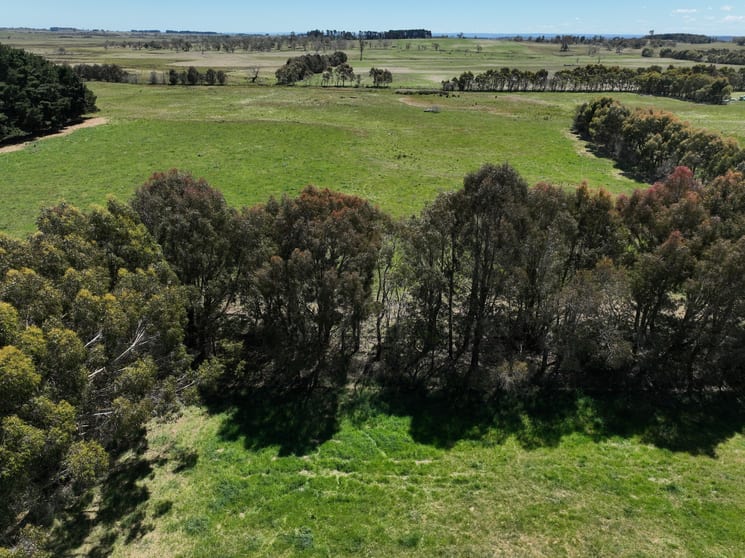 Click to view all images Lot 1 Mount Rae Road, Roslyn Crookwell NSW 2583 - Image 2