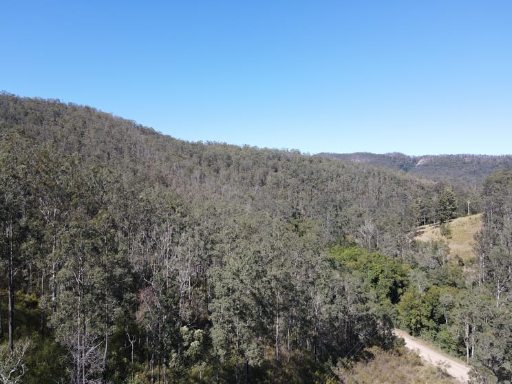 Click to view all images 786 Terreel Road Wards River NSW 2422 - Image 2