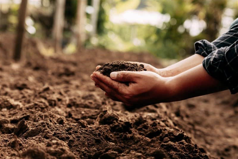 Click to view all images Agricultural business for sale in SA - Image 1