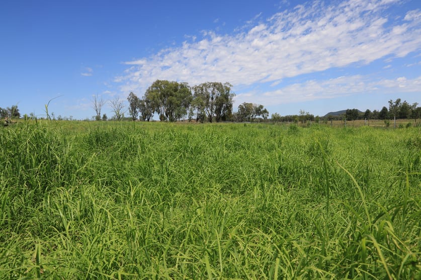 Click to view all images 2222 Spooners Gap Road Bellata NSW 2397 - Image 1