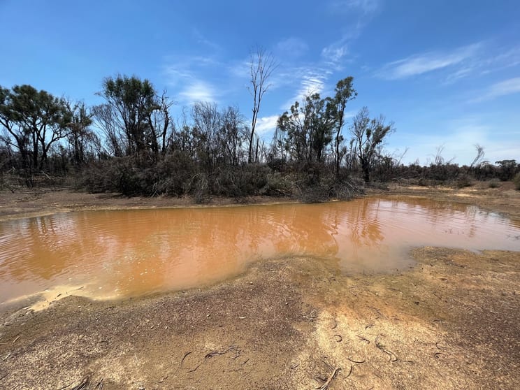 Click to view all images Lot 4 Mary Road Tara QLD 4421 - Image 2