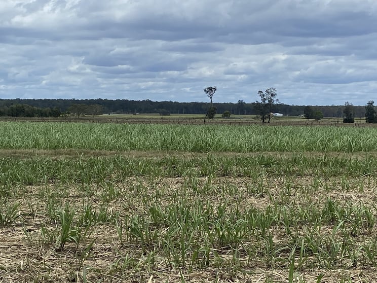 Click to view all images 1/108-109 Back Kings Creek Road Lawrence NSW 2460 - Image 3